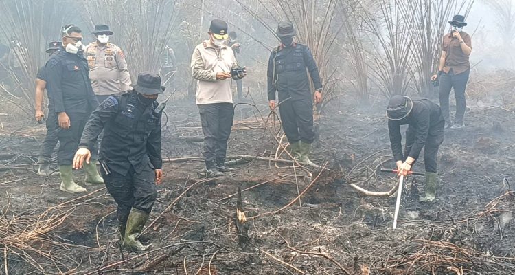 Sempat Padam Dini Hari, Karhutla di Mamasa Kembali Membesar dan Hanguskan 5 Hektare Lahan