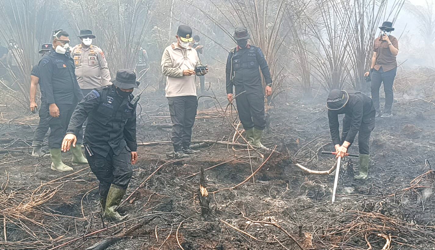 Sempat Padam Dini Hari, Karhutla di Mamasa Kembali Membesar dan Hanguskan 5 Hektare Lahan