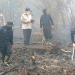 Sempat Padam Dini Hari, Karhutla di Mamasa Kembali Membesar dan Hanguskan 5 Hektare Lahan