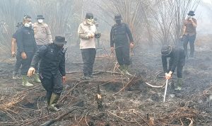 Sempat Padam Dini Hari, Karhutla di Mamasa Kembali Membesar dan Hanguskan 5 Hektare Lahan Sempat Padam Dini Hari, Karhutla di Mamasa Kembali Membesar dan Hanguskan 5 Hektare Lahan