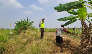 Patroli Satlantas Polres Tegal di Tol KM 285 Cegah Gangguan Lalu Lintas dan Pembakaran Lahan