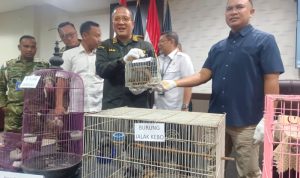 Bandara Juanda Bongkar: Satwa Monyet Burung Tupai Diamankan