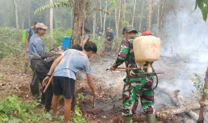 IMG-20260917-WA0077