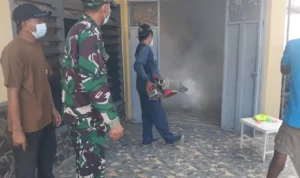 Cegah Demam Berdarah, Babinsa Kalipucung Pendampingan Fogging Serentak Di Dusun Kalipucung